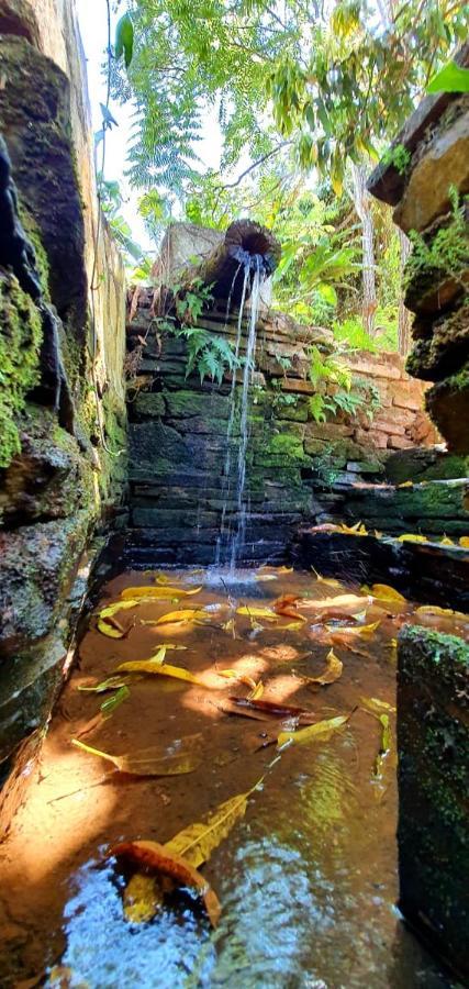 Pirenópolis Chacara Bica Daguaヴィラ エクステリア 写真